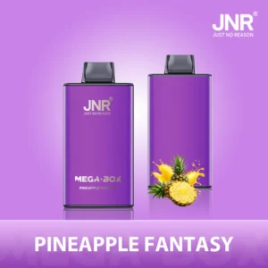 JNR Mega Box 25000 Puffs Disposable Vape