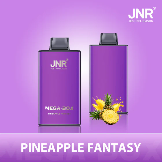 JNR Mega Box 25000 Puffs Disposable Vape