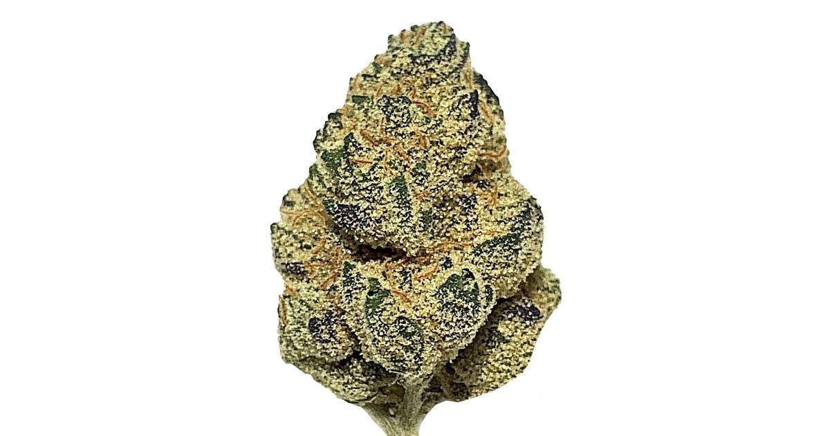 Gas Monkey Strain