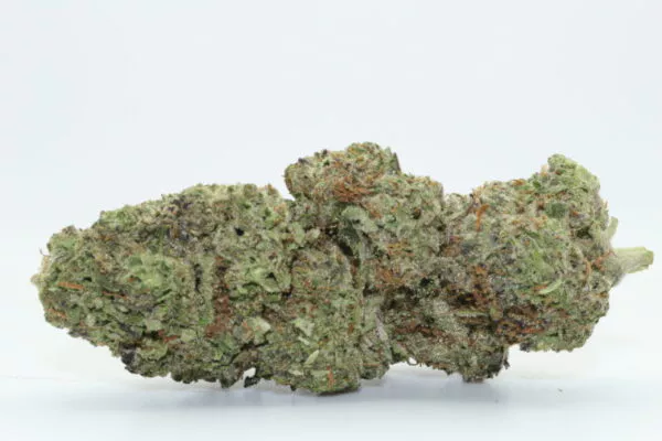 gelato 41 strain - Image 2