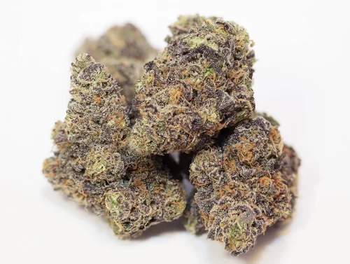 gush mints strain