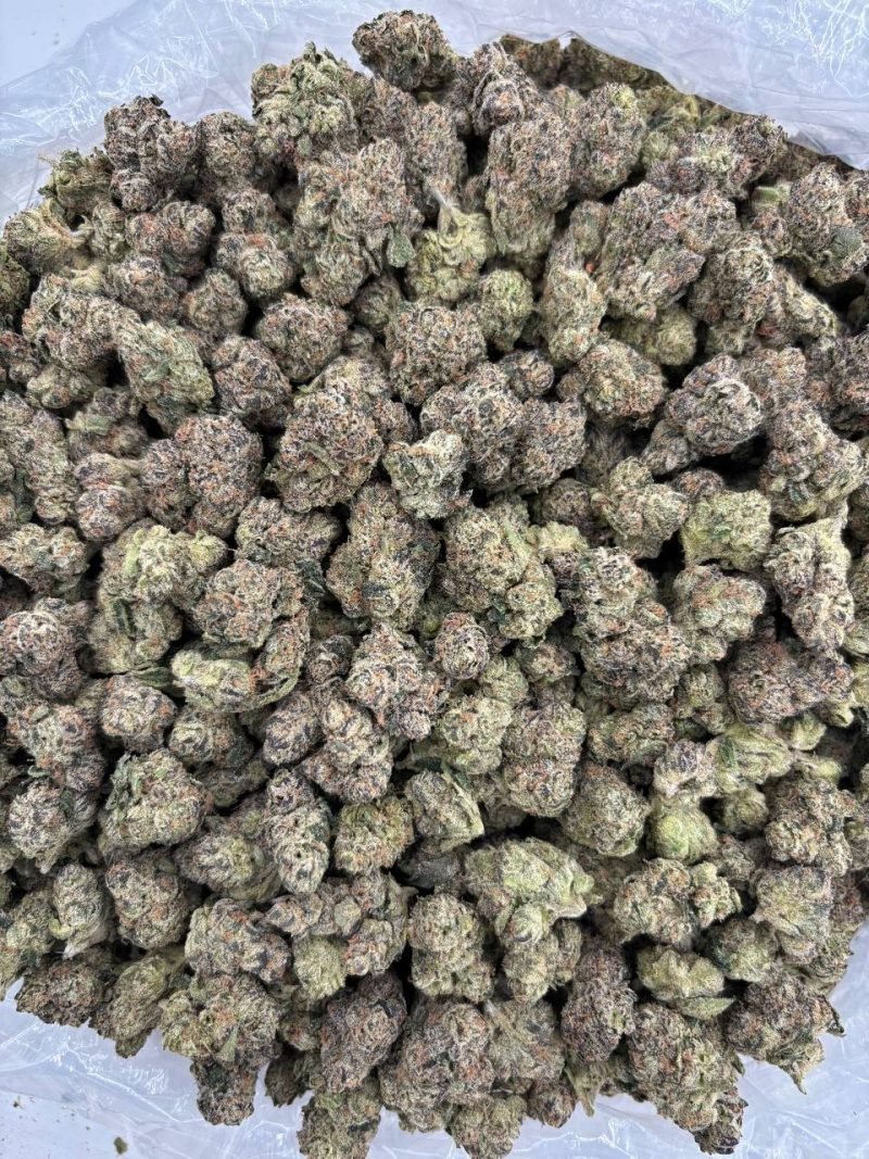 JOLLY RANCHER