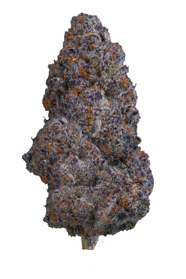 lemon cherry gelato strain