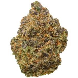 z33 strain