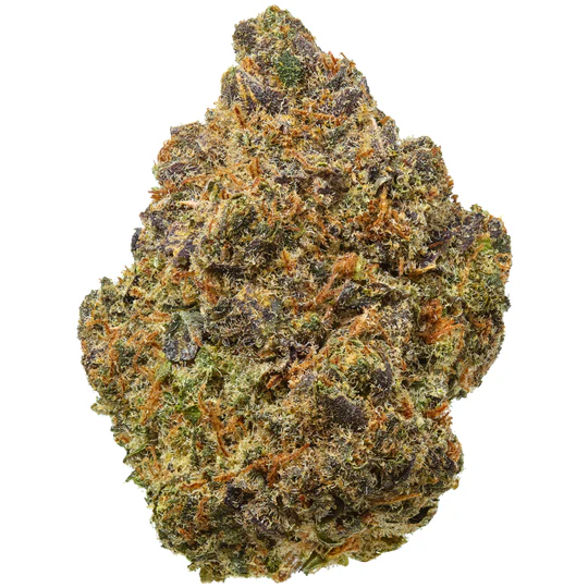 z33 strain