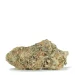 gastro pop strain - Image 2