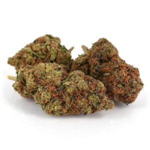 girl scout-cookies strain (28g)