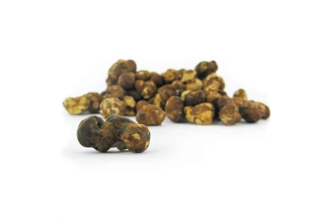 Mush Magic Truffle Fantasia - 15 Gramm - Image 2
