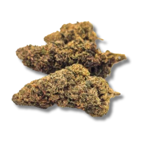 Purple Punch Strain