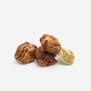 Penis Envy Dino Eggs Magic Mushrooms
