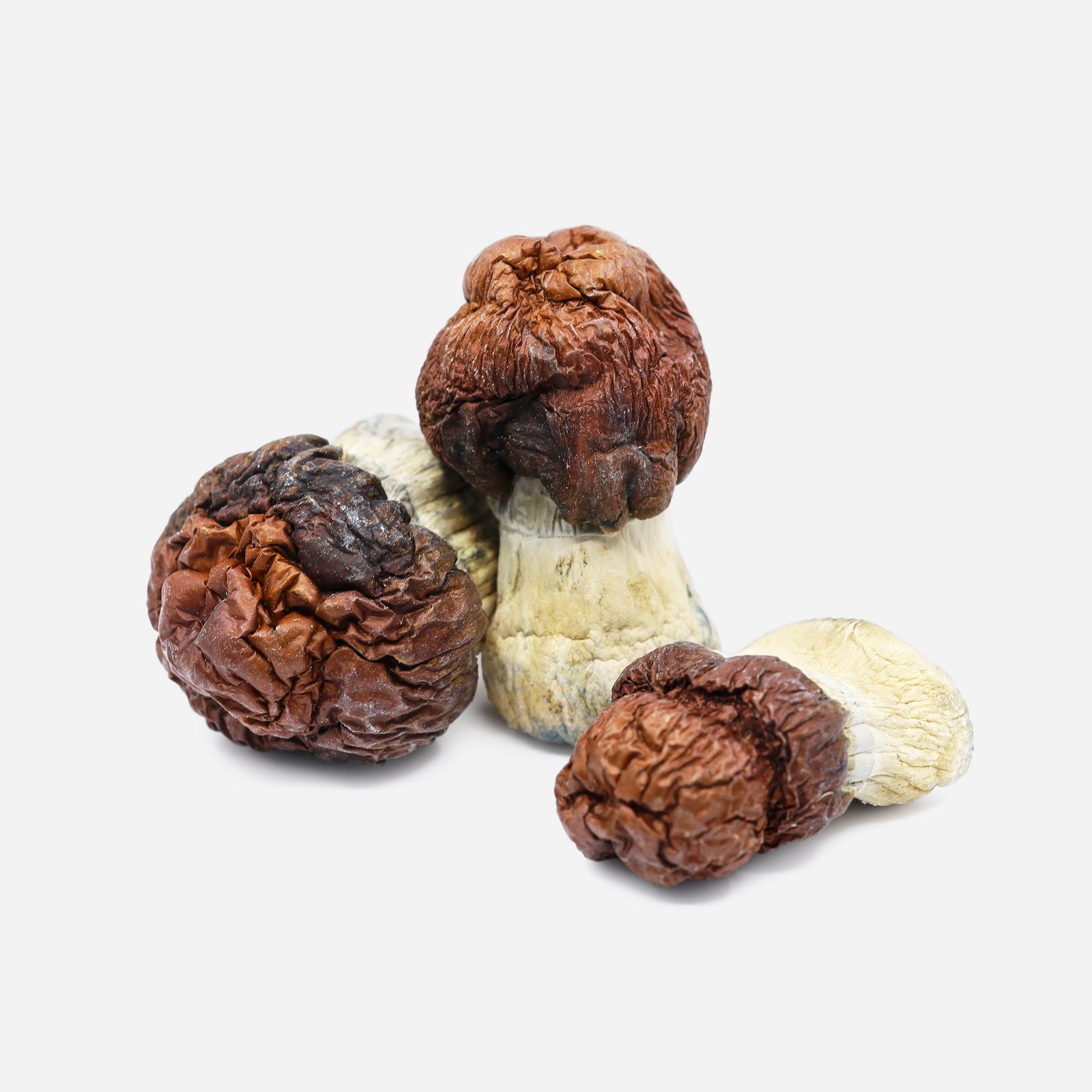 Bluey Vuitton Magic Mushrooms - Image 2