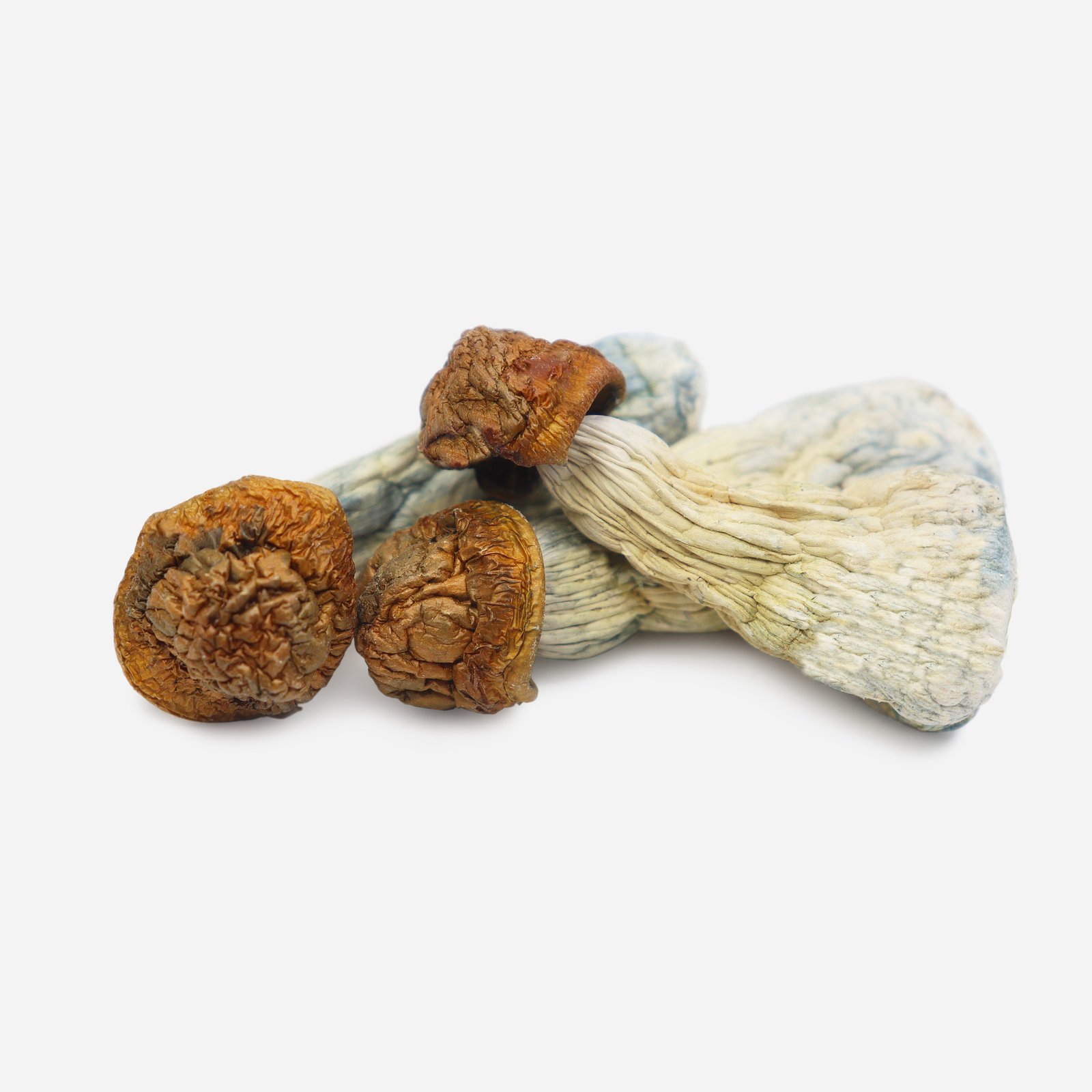 Gold Member Magic Mushrooms - Image 2