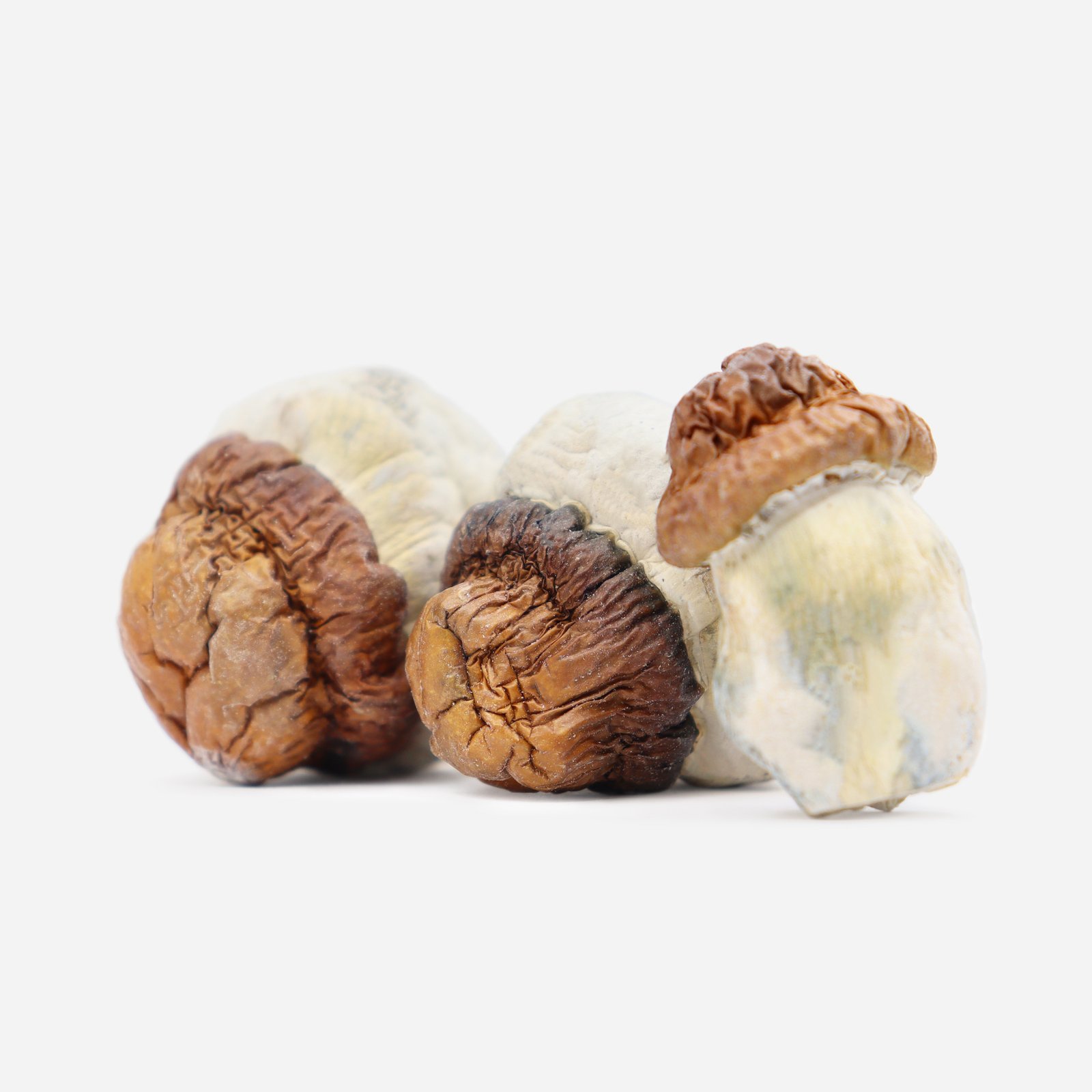 Code Blue Magic Mushrooms - Image 2